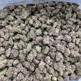 Ice Cream Cake Indoor Smalls